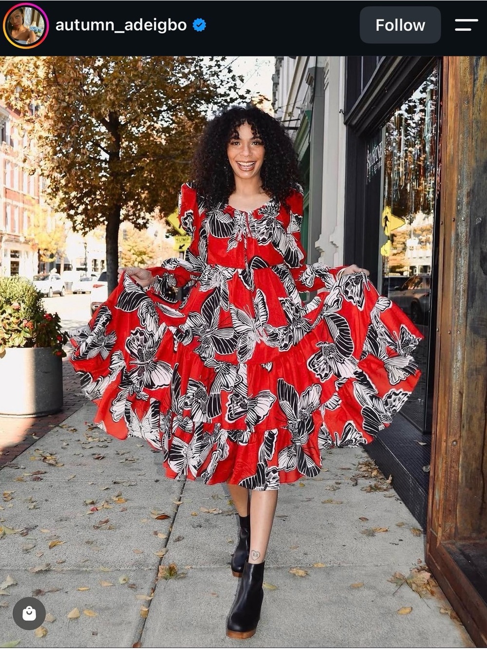 Autumn Adeigbo Romantic Butterfly Dress with Long Puff Sleeves Size 4